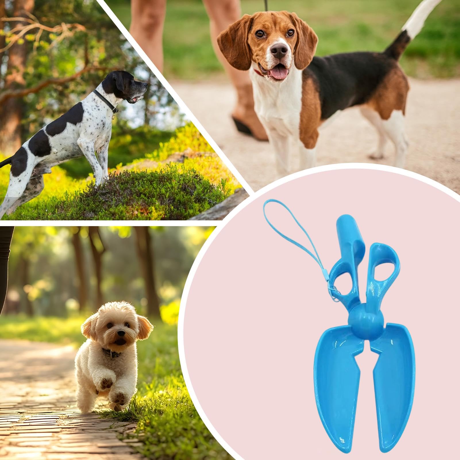 Raccoglitore Escrementi per Cani Raccoglitore Portatile Antiscivolo A Forma