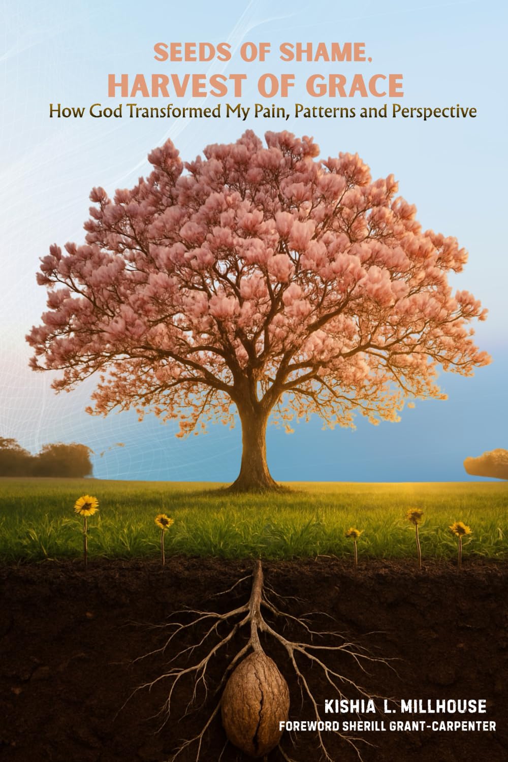 Seeds of Shame, Harvest of Grace: How God Transformed My Pain, Patterns, and Perspective