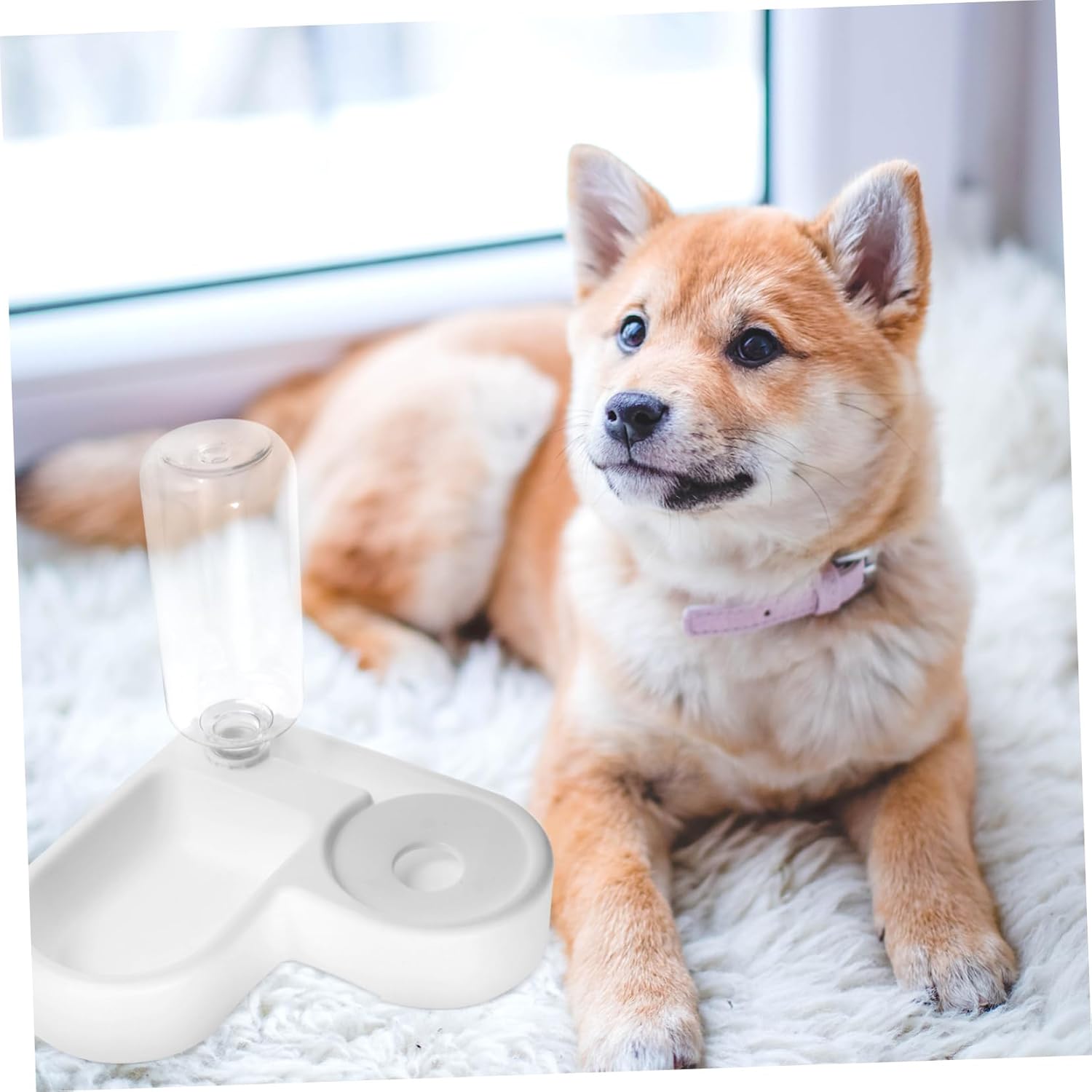 HEMOTON Pet Automatic Water Feeder with Food Bowl Multi Function Cat Feeder for Dogs and Cats Minimalist Design Prevents Spilling for Home and Travel