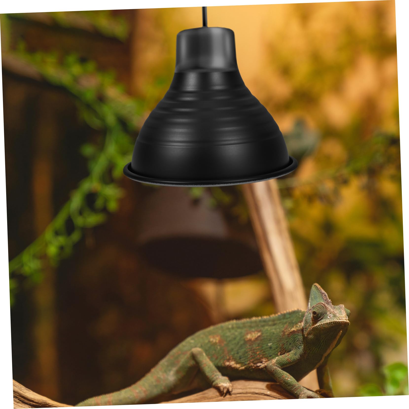 5pezzi Lampada Riscaldante Per Rettili Con Paralume Copertura Riflettente Per Terrari Design Efficiente e Facile Manutenzione Per Tartarughe e Lucertole