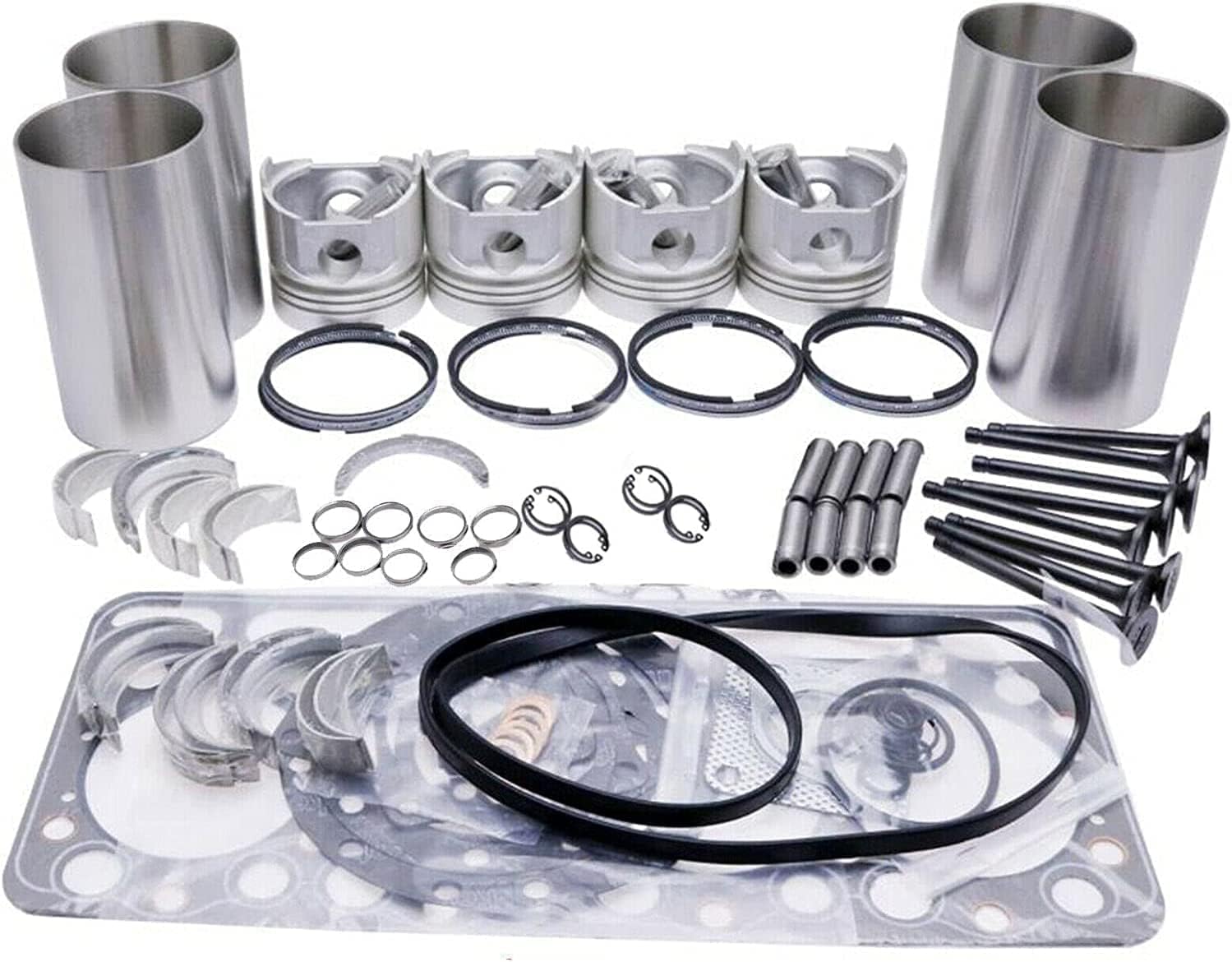 Solarhome New Overhaul Rebuild Kit Compatible with Deutz Engine BF4L914 F4L914