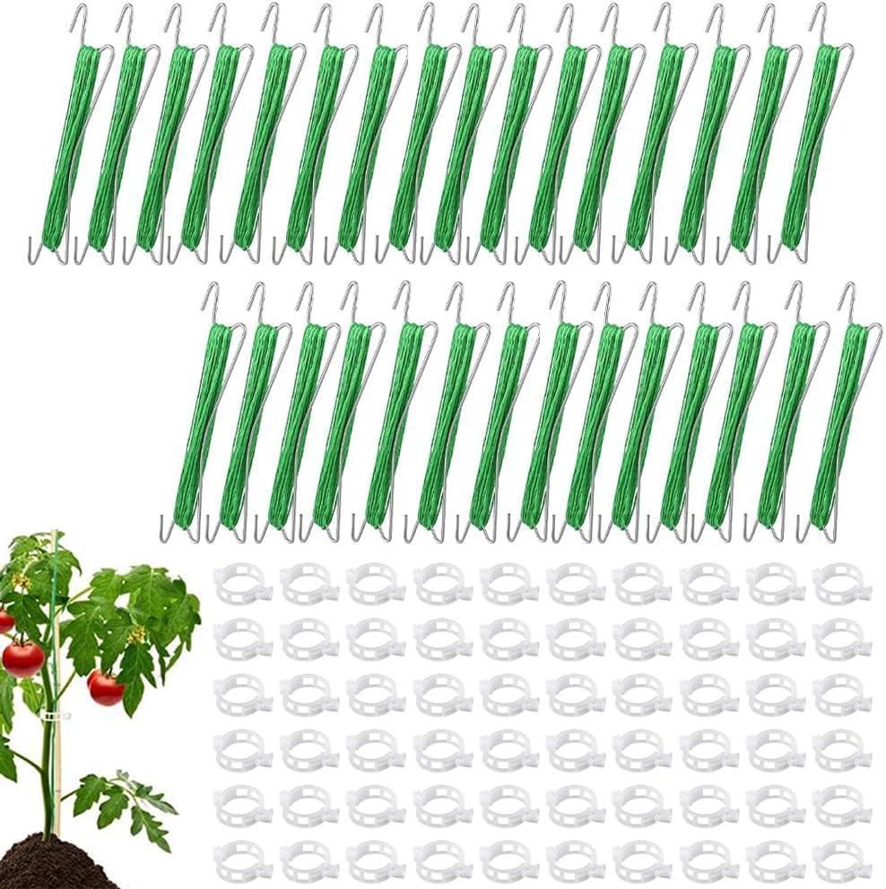 HIQE-FL Tomatenhaken Metall mit Pflanzenschnalle & Seil Tomatenpflanzenhalter Garten Clips Tomatenstützhaken Geeignet zum Fixieren von Pflanzen