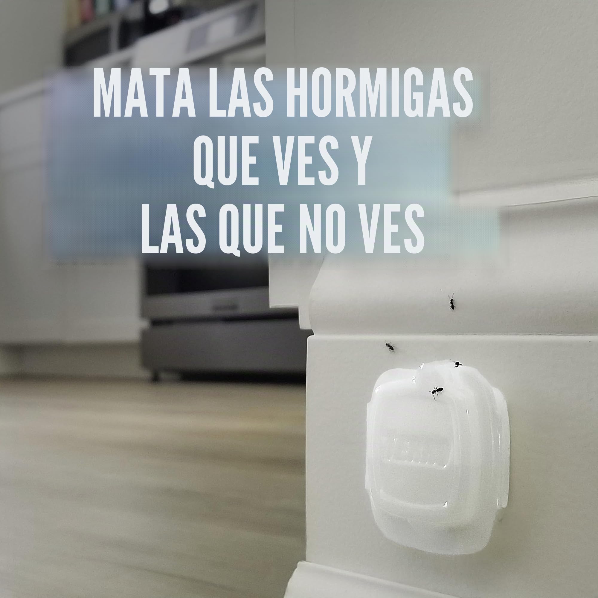 TERRO Cebos líquidos para Hormigas para Interiores con Tiras Adhesivas para Cebo Discreto, Trampa para Hormigas Terro y estación de Cebo, Paquete de 4 Unidades, T334B
