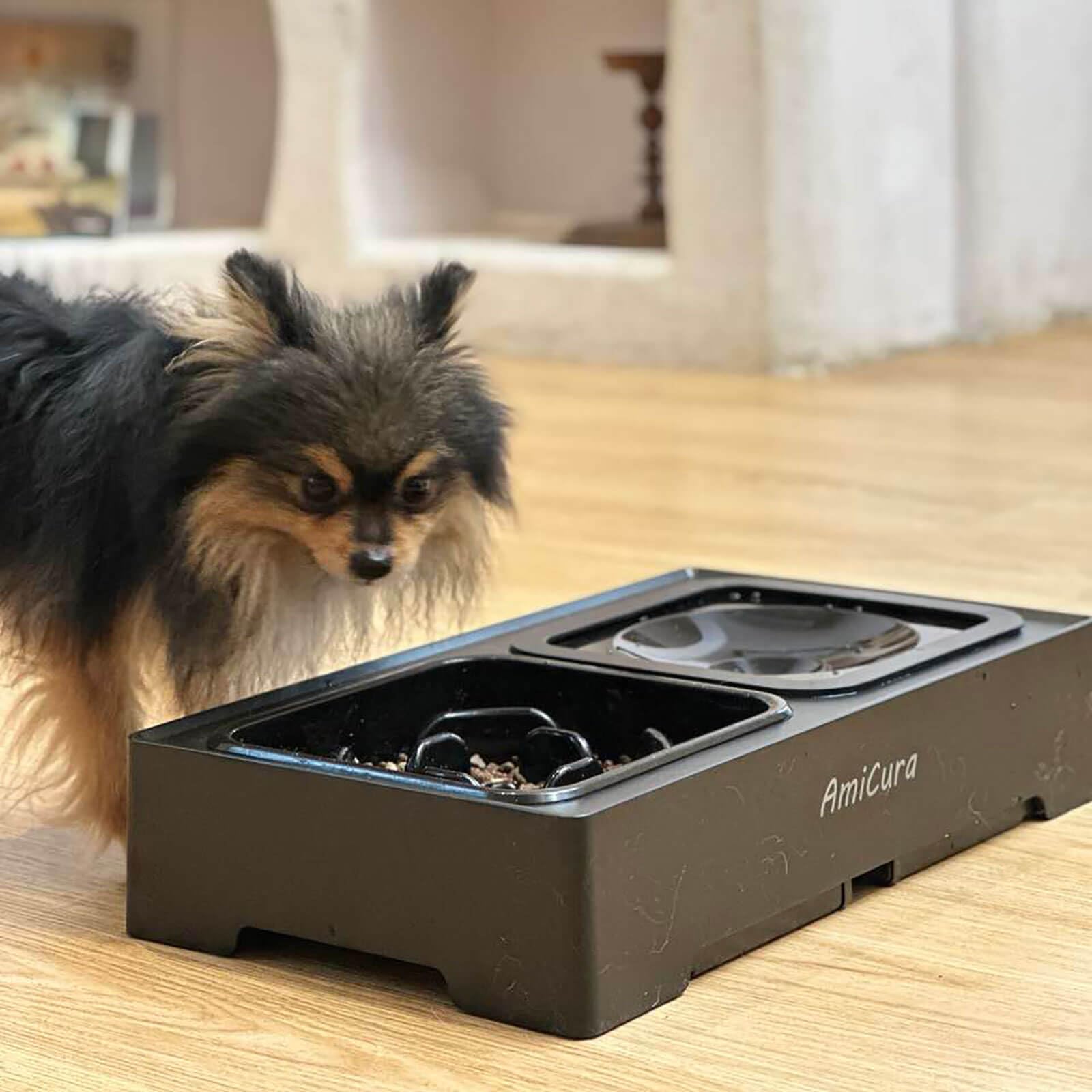 Amicura Gamelle Chien Surelevee, 2-en-1 Gamelle Surélevée avec Gamelle d'eau Anti-éclaboussure et Acier Inoxydable, 4 Hauteurs RéGlables pour Petits Chien Chat de Compagnie, Moyens et Grands