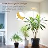 Product Photo 2