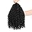 Dansama 6 Packs Passion Twist Hair Water Wave Braiding Hair for Butterfly Style Crochet Braids Bohemian Hair Extensions (12inch, 2, Economy Pack)