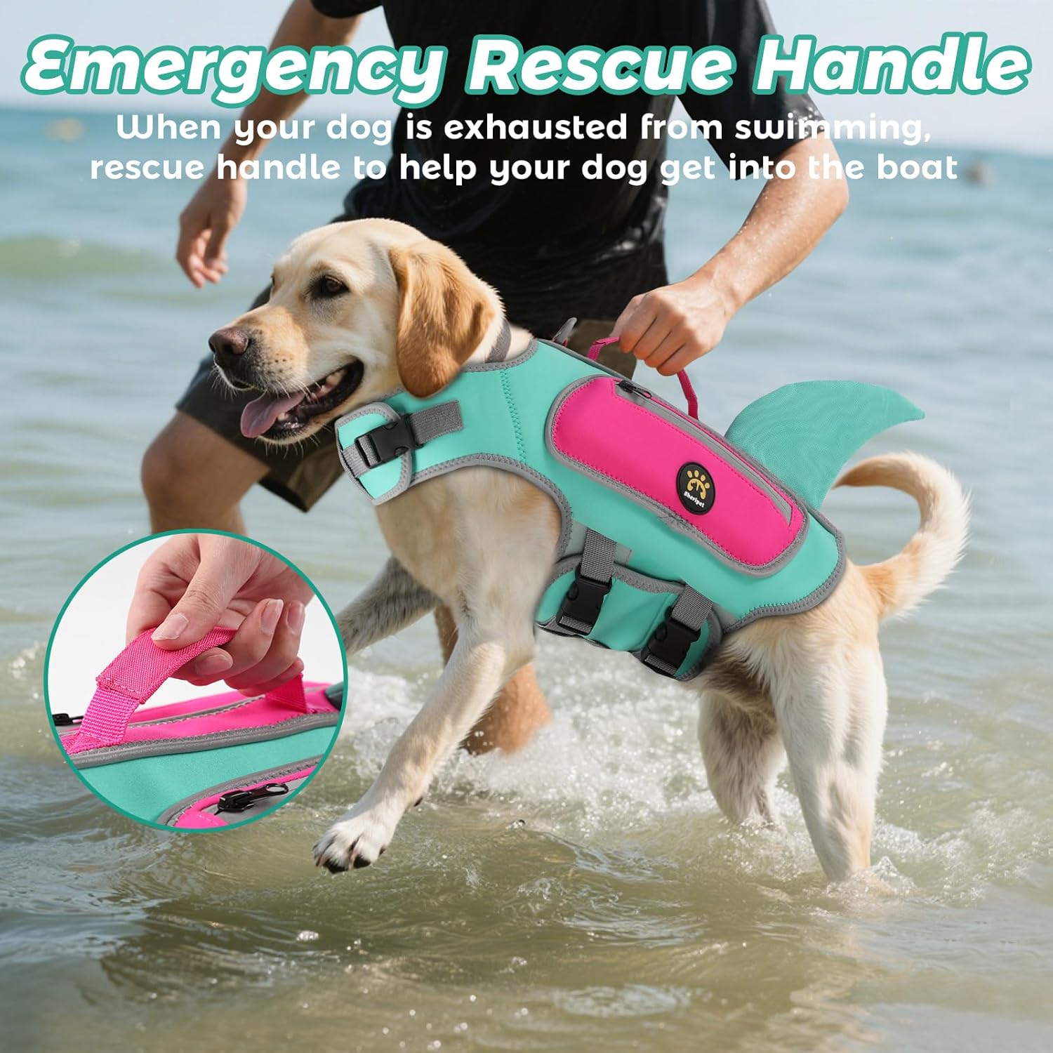 Dog Life Jacket, Cute Shark Dog Life Vest for Swimming Boating with Superior Buoyancy and Rescue Handle, Adjustable Puppy Swim Floating Vest for Small Medium Large Dogs (Turquoise, Large)