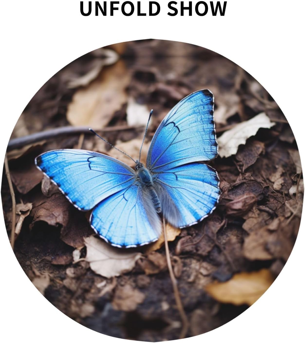 Beautiful Blue Butterfly Print Wrinkle Free Dining Table Cover for Birthday Party Farmhouse Tablecloths Up to 60 x 60 Inches