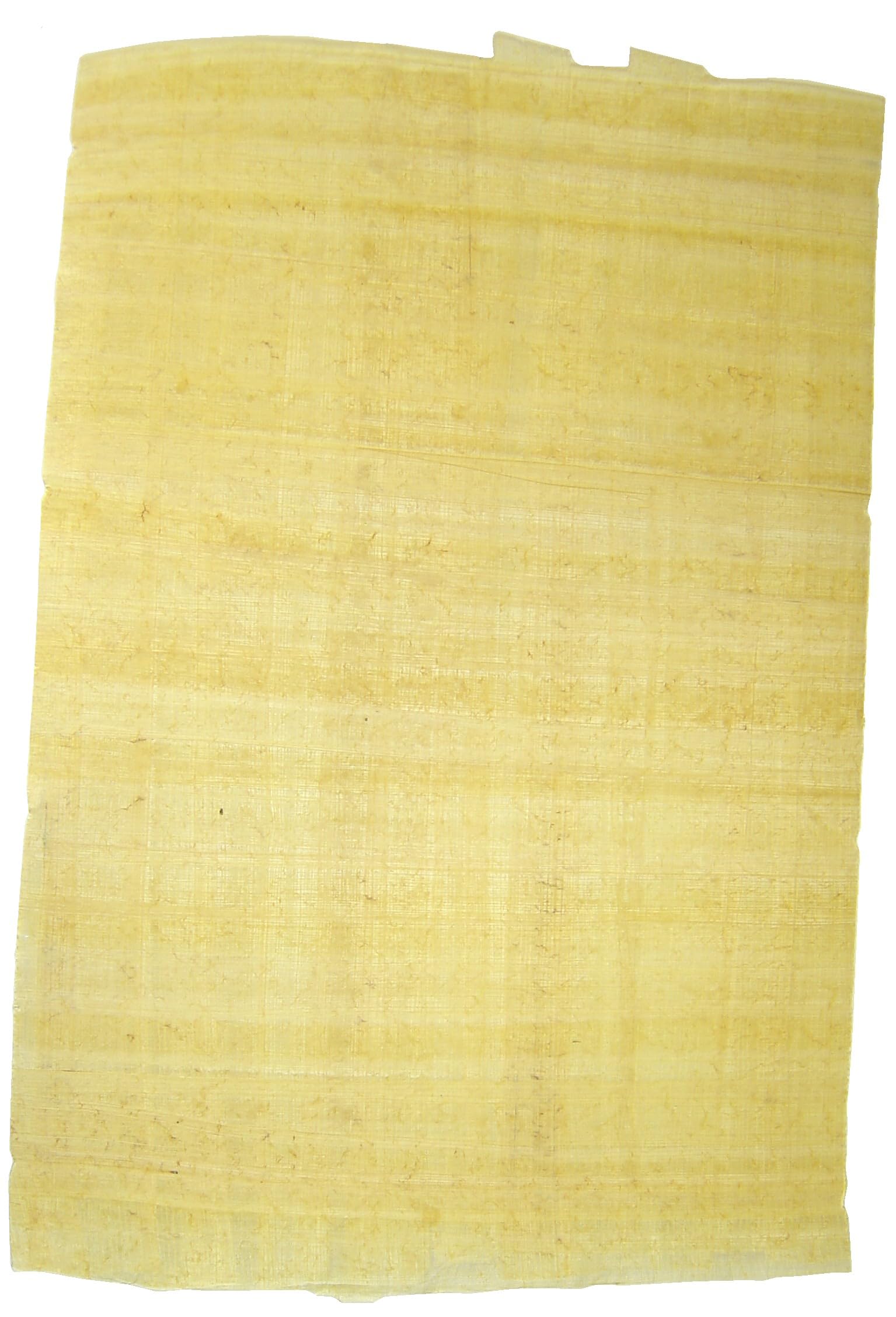 Papyrus sheets A4 P10
