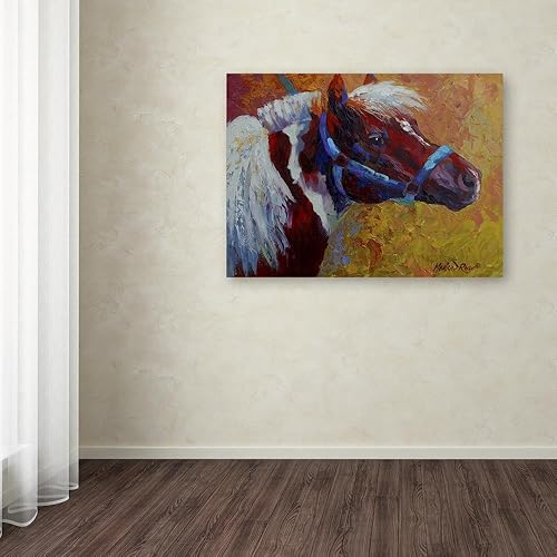 Miniatura 3 de Pony Boy 1 por Marion Rose - Lienzo decorativo para pared, 24 x 32 pulgadas