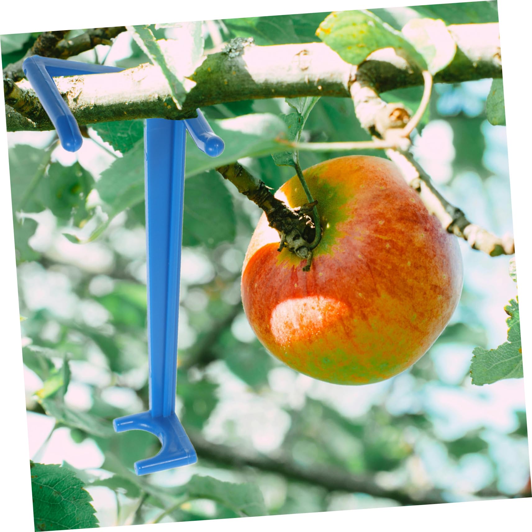 Artibetter 100pezzi Distanziatori per Regolabili Kit Accessori per Giardinaggio per per Giardinieri e Agricoltori