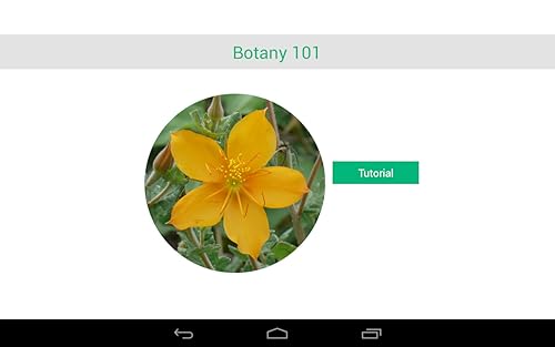 Botany