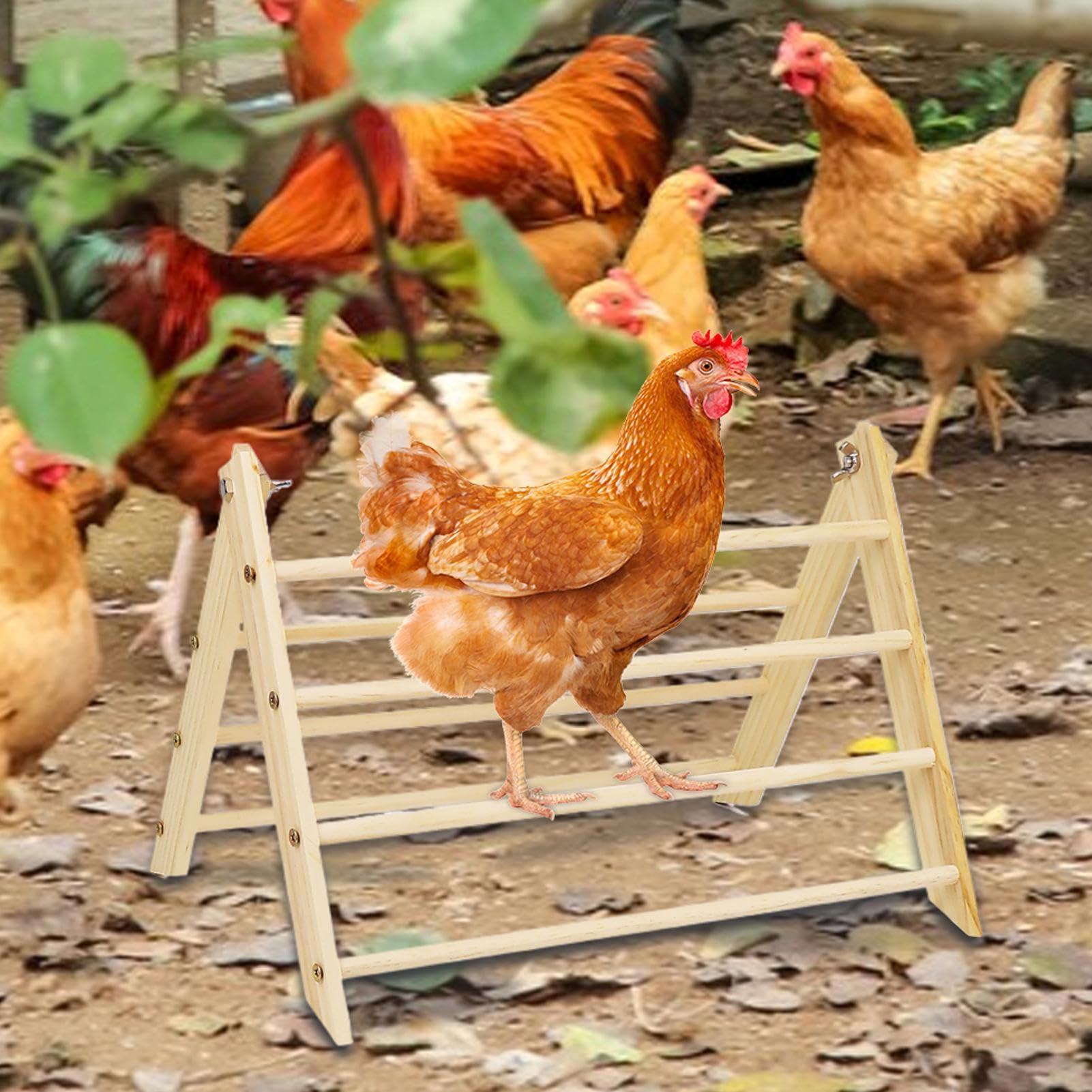 per polli – Supporto in legno per ambienti esterni – Comodo posatoio per pollo, pollo, per cortile, esterno, fattoria, di medie dimensioni e grandi, pulcini, pollo