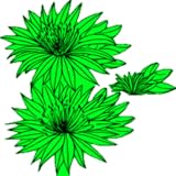 jigsaw puzzle Nature Jigsaw