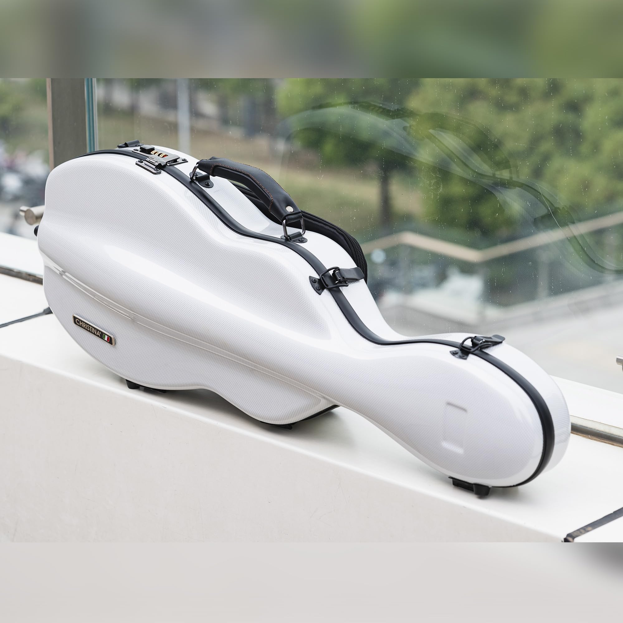 Amazon.com: Christina violin case 4/4 Full Size Violin case High