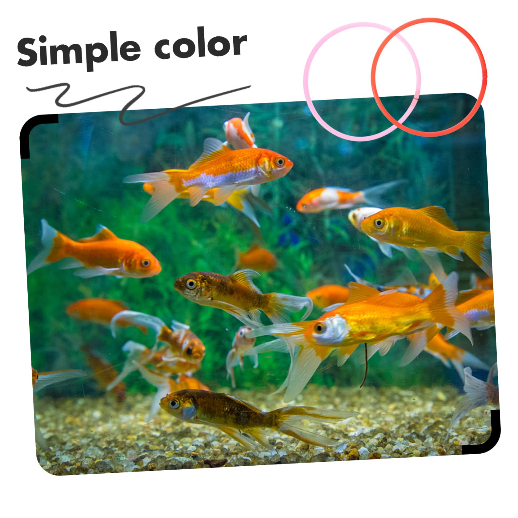 BESPORTBLE Floating Plant Rings Fish Feeding Circles Floating Duckweed Separator Aquarium Decor Green Plant Decor Reusable