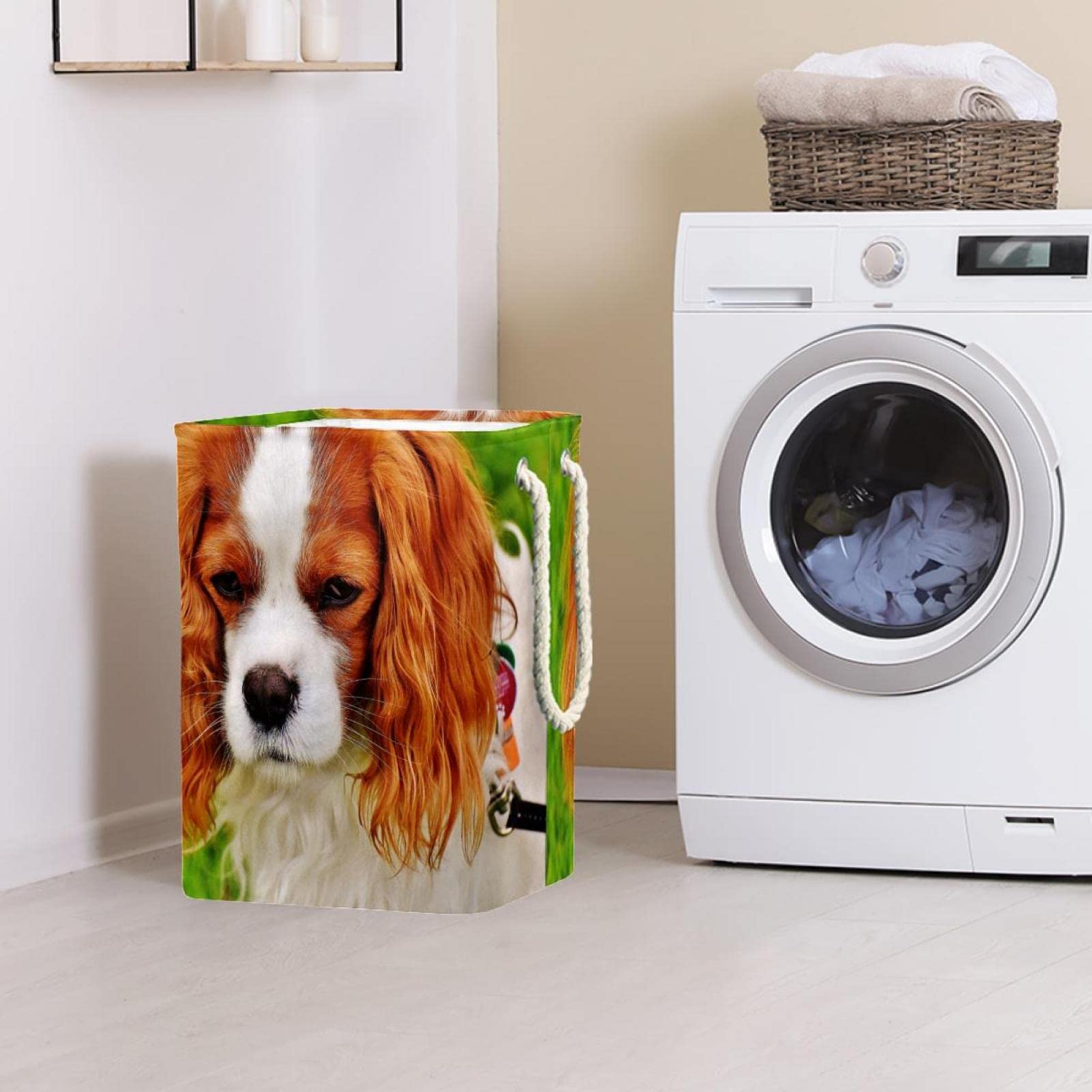 Cesto portabiancheria impermeabile, con manico per cani e cani con pelo lungo