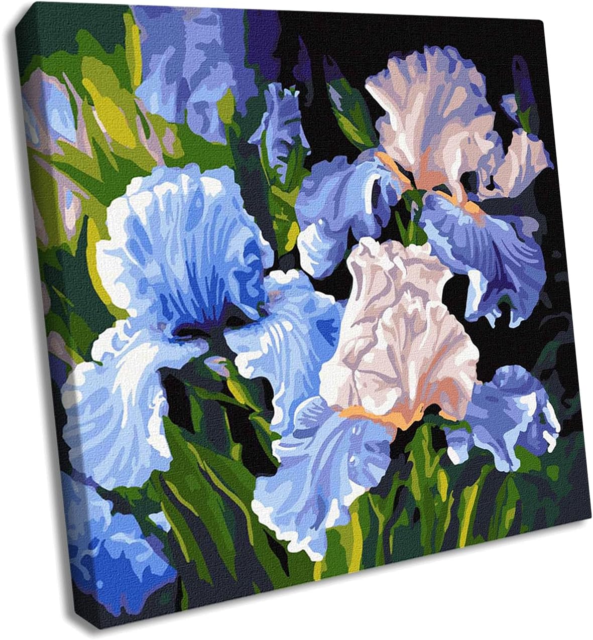 Ideyka Painting by Numbers kit KHO3190 Bright Irises
