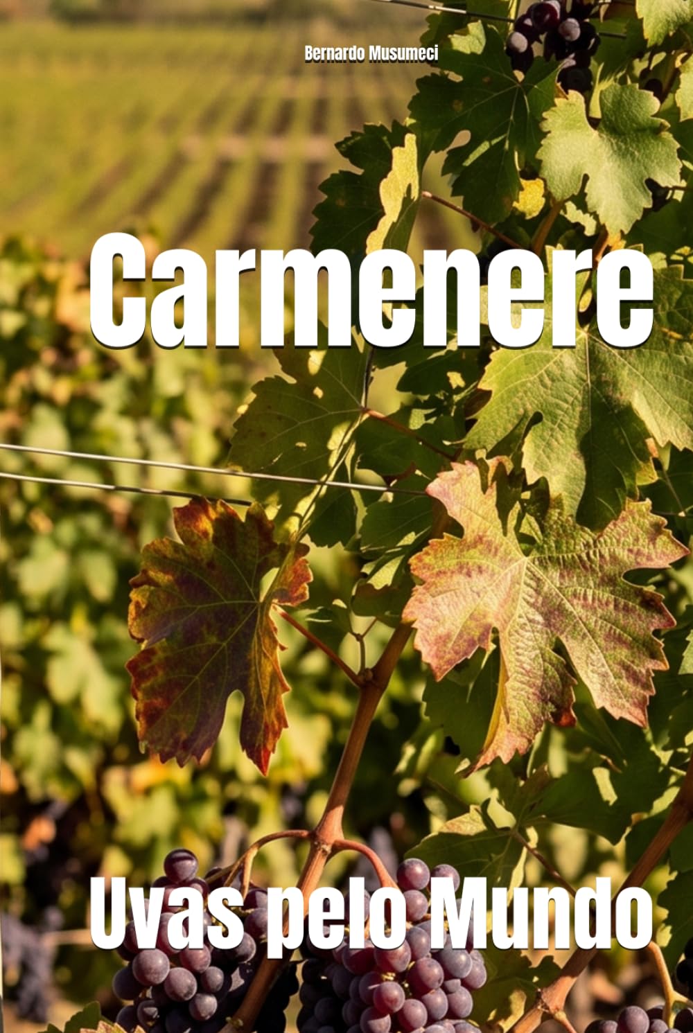 Carmenere: Uvas pelo Mundo (Wines of the World: France)