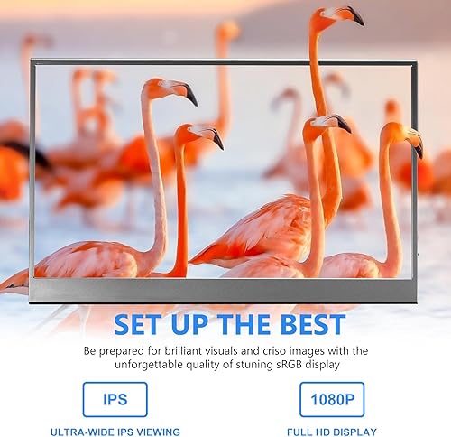 Miniatura 3 de ARWOEIS Monitor portátil de 15.6 pulgadas 1080P FHD IPS Monitor portátil USB-C HDMI segundo monitor externo para laptop, PC, teléfono Mac, Xbox,