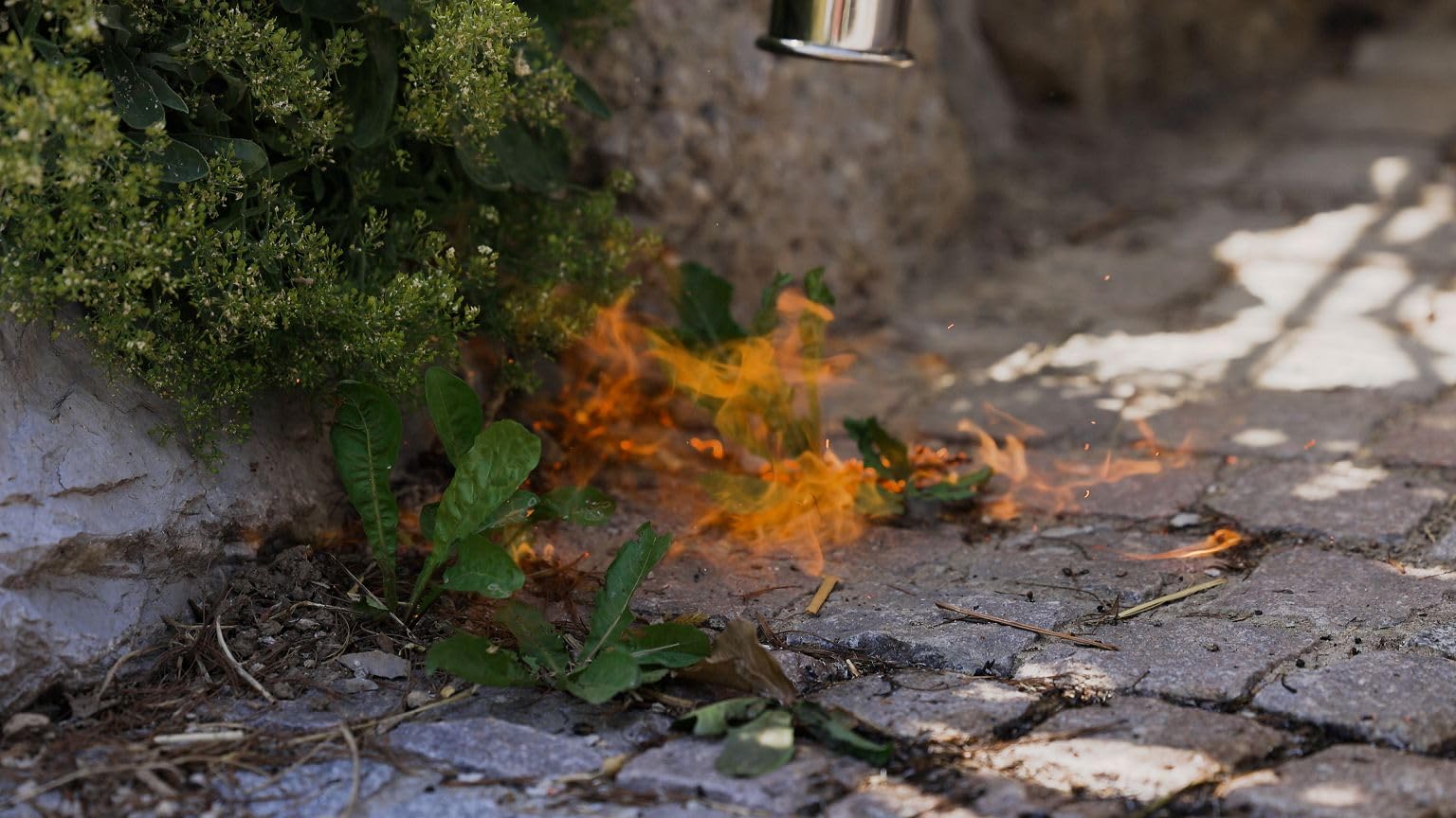ROTHENBERGER Industrial Hochleistungsbrenner inklusive 5,0 m Propangasschlauch+Piezo für den Garten als Unkrautvernichter, Brenner, Biogärtner, zum thermischen Abflammen, Grillanzünder, Auftauen gefrorener Wasserleitungen, Abflammgerät, Anbringen von Dach