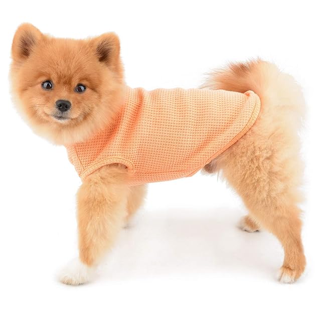 Foto 2 de 8 de PAIDEFUL Camisas para Perros Pequeños Medianos Gatos Niño Chaleco de Algodón Suave Camisetas sin Mangas…