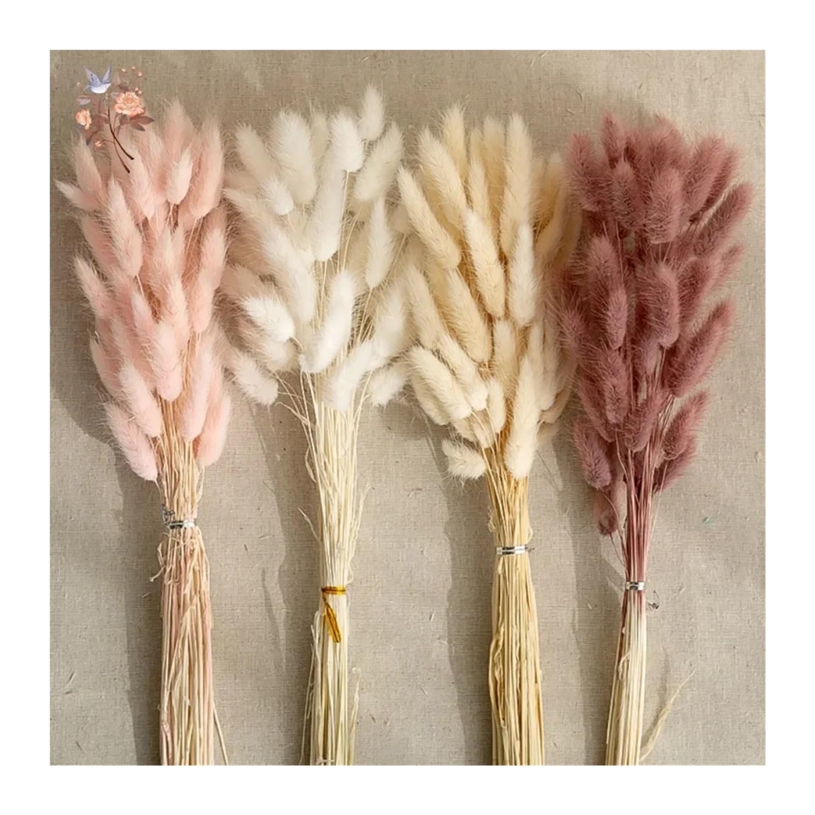 Generico 50/100 pièces d'herbe naturelle de queue de lapin, fleurs séchées pour bouquet de mariée, décoration intérieure et photographie(jaune, 50PCS)