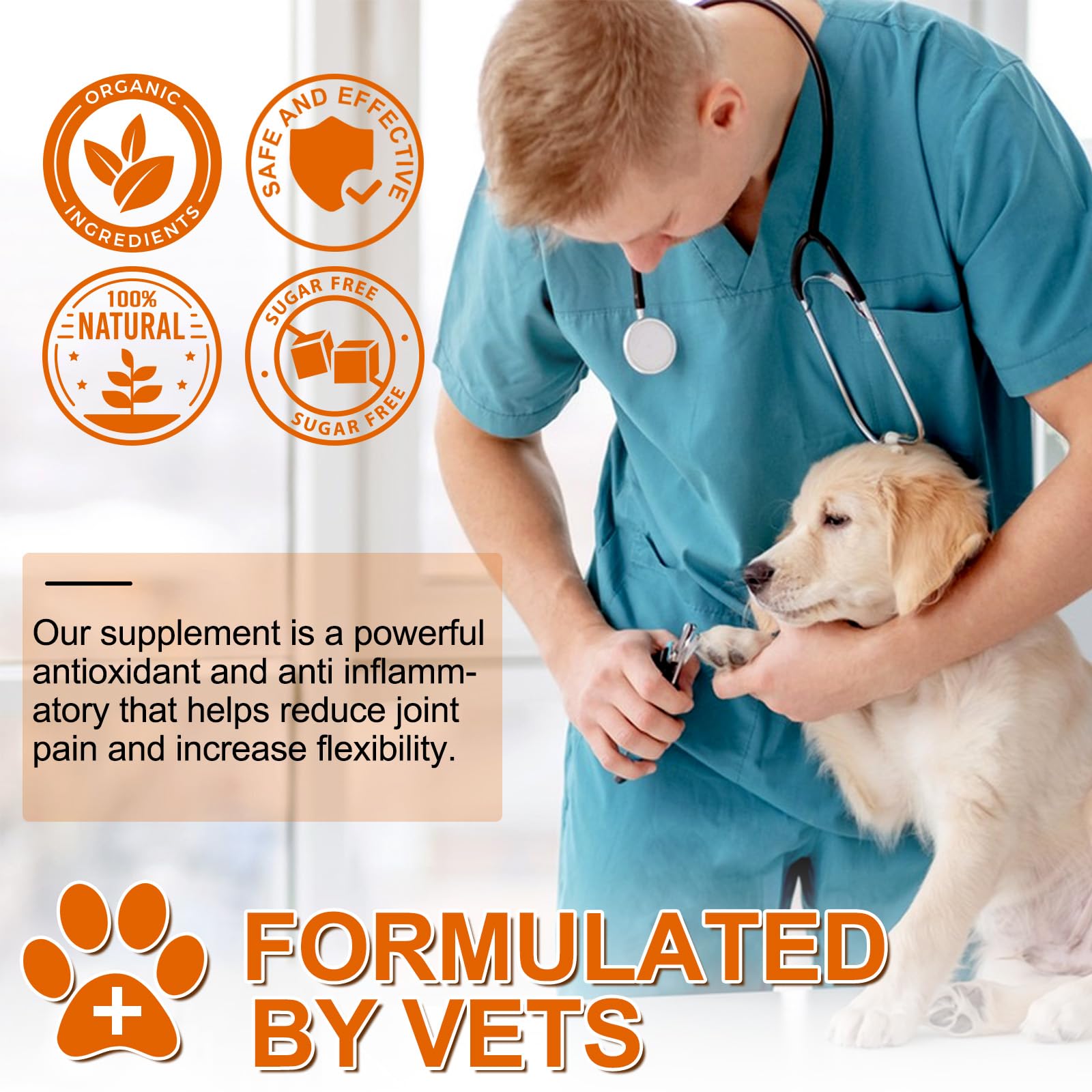 Curcumina per Cani 180 Compresse - Integratore Articolazioni Antinfiammatorio con Piperina, Antiossidante Naturale per Digestione e Fegato - Alta Biodisponibilità, Senza Additivi