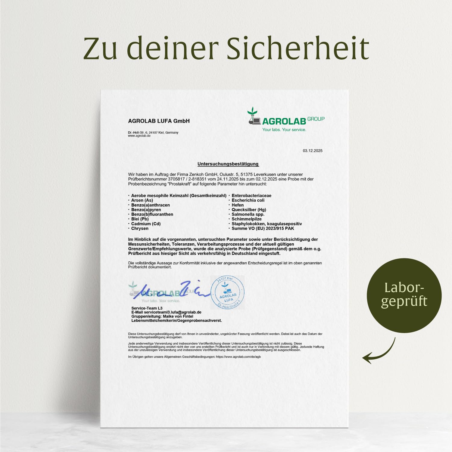 NATURTREU® Sägepalmen Komplex - 120 vegane Kapseln hochdosiert mit Sägepalmenextrakt (301 mg), Brennnessel, Kürbiskern mit Vitamin E, Zink, Selen - 2 Monatsvorrat