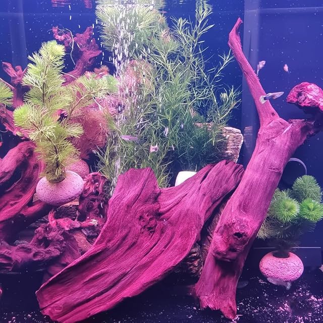 Foto 6 de 6 de EmoursTM madera hundible, madera a la deriva decorativa para acuarios
