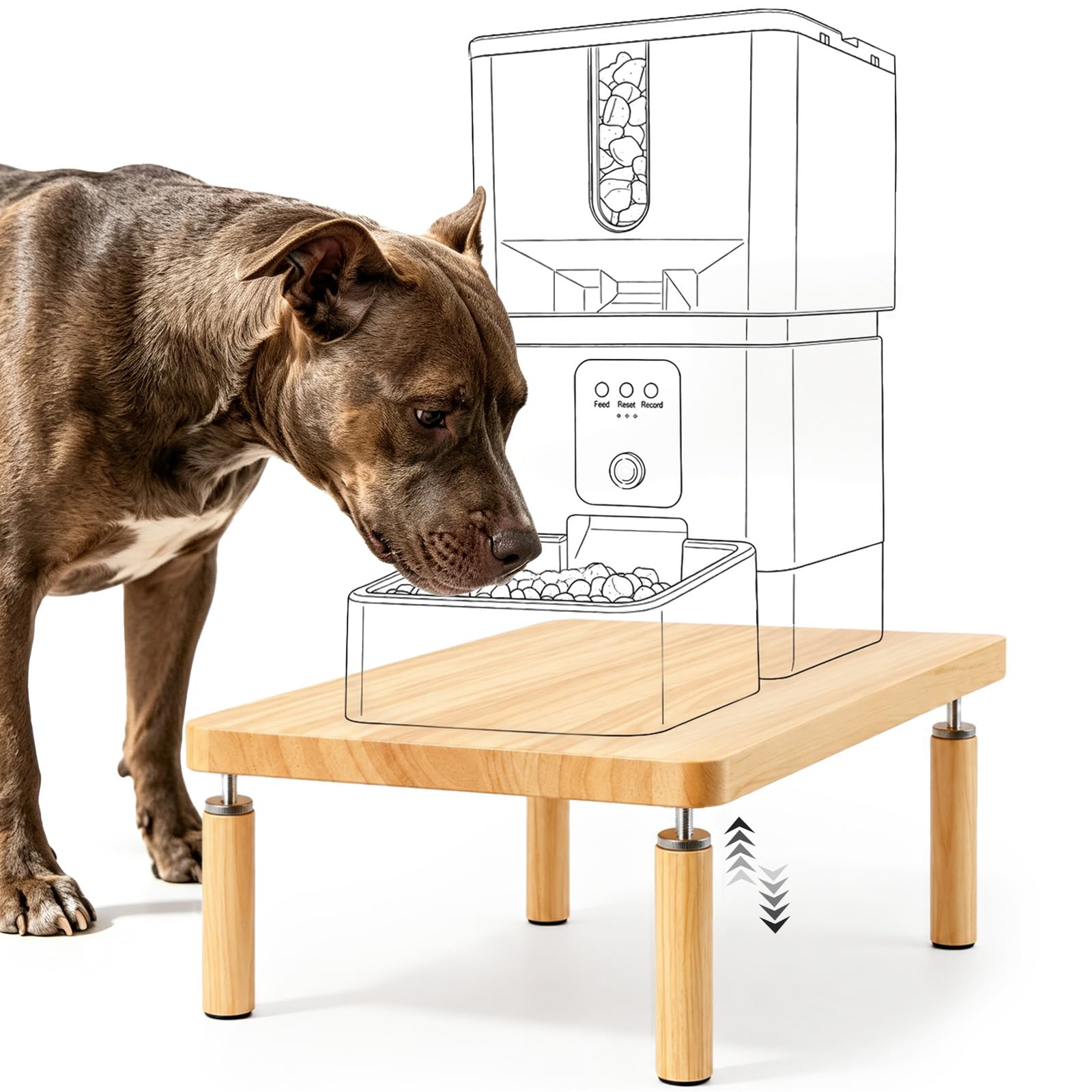 SZEE Adjustable Dog Food Stand, Raised Dog Feeder Stand for Medium Breeds, Elevates from 14 to 17.2 cm, Relieves Spine and Joints on Pets (M, Solid Wood)