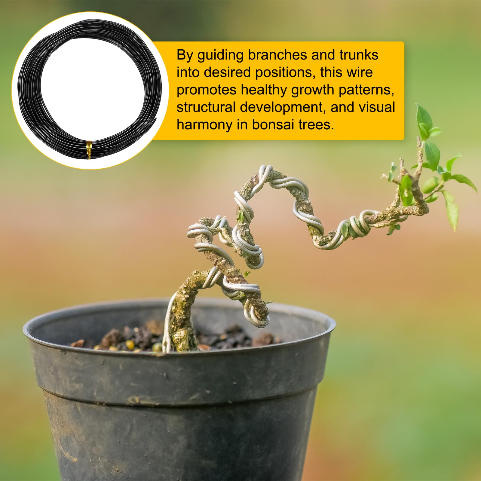 M METERXITY 1,5 mm Bonsai-Trainingsdraht, 32,8 Fuß Gesamtlänge eloxierter Aluminium-Bonsai-Draht für Bonsai-Baumformung/Astfixierung/Stammhaltung/DIY-Basteln [Schwarz]