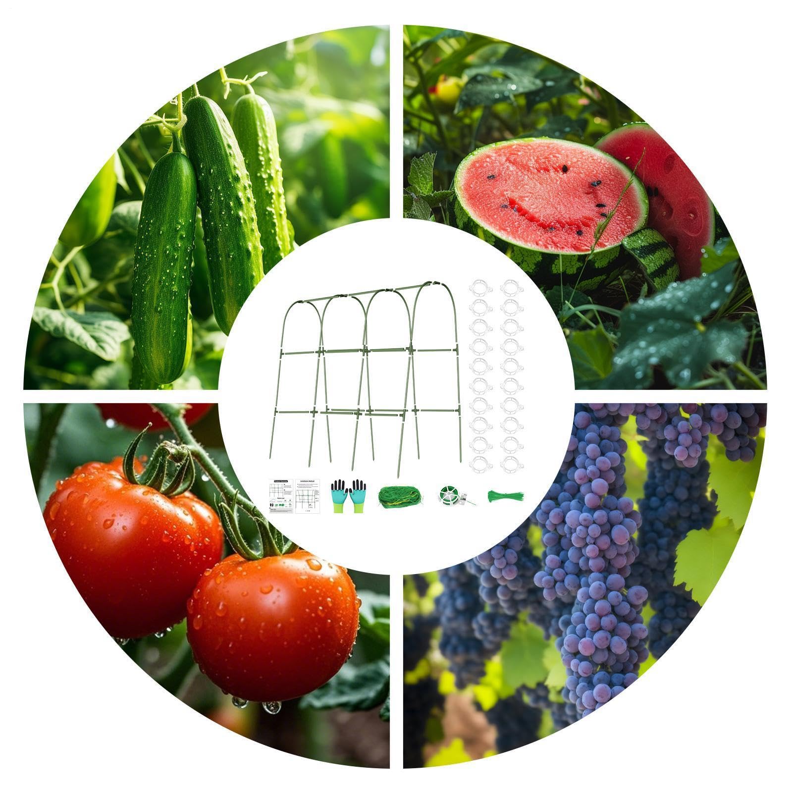 Enrejado para pepinos, arco de metal resistente a la intemperie, enrejado de verduras para plantas trepadoras, para guisantes, tomates, calabazas, berenjenas, cultivo de invernadero, cultivo de casa