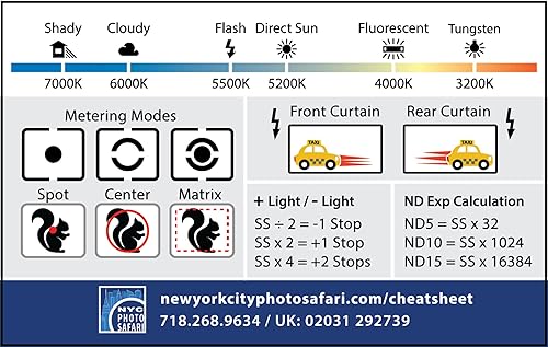 Miniatura 5 de (Paquete de 2) Tarjetas de referencia de fotografía DSLR/sin espejo del tamaño de tarjeta de crédito que caben en bolsillo/cartera/bolsa de cámara.