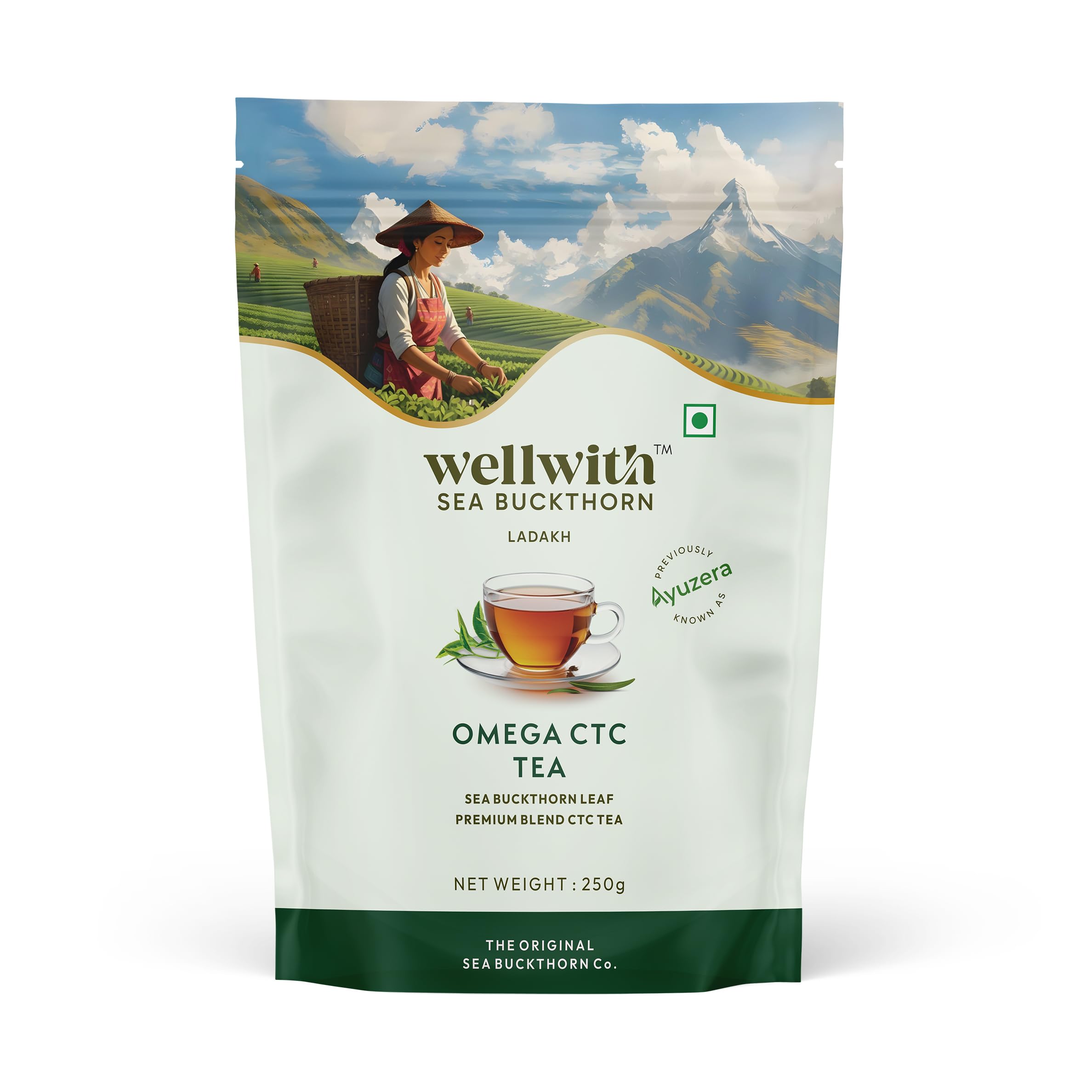 Wellwith Sea Buckthorn Omega CTC Tea 250g | Natural Sea Buckthorn Berry Infused Tea | Wellness and Refreshing Blend (Pack of 1)-image-34