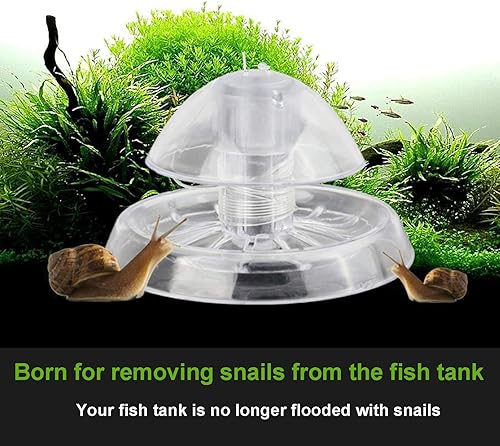 Miniatura 3 de 3 trampas para caracoles, atrapador de caracoles transparente, trampa de caracoles de plástico para acuario, caja transparente con línea de pesca
