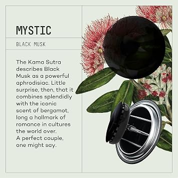 VAVANA Spin Araba Klima Kokusu - Profesyonel Otomobil Kokusu | BPA & Sıvı İçermez | 90 Gün Etkili - 6'lı Set (MYSTIC)