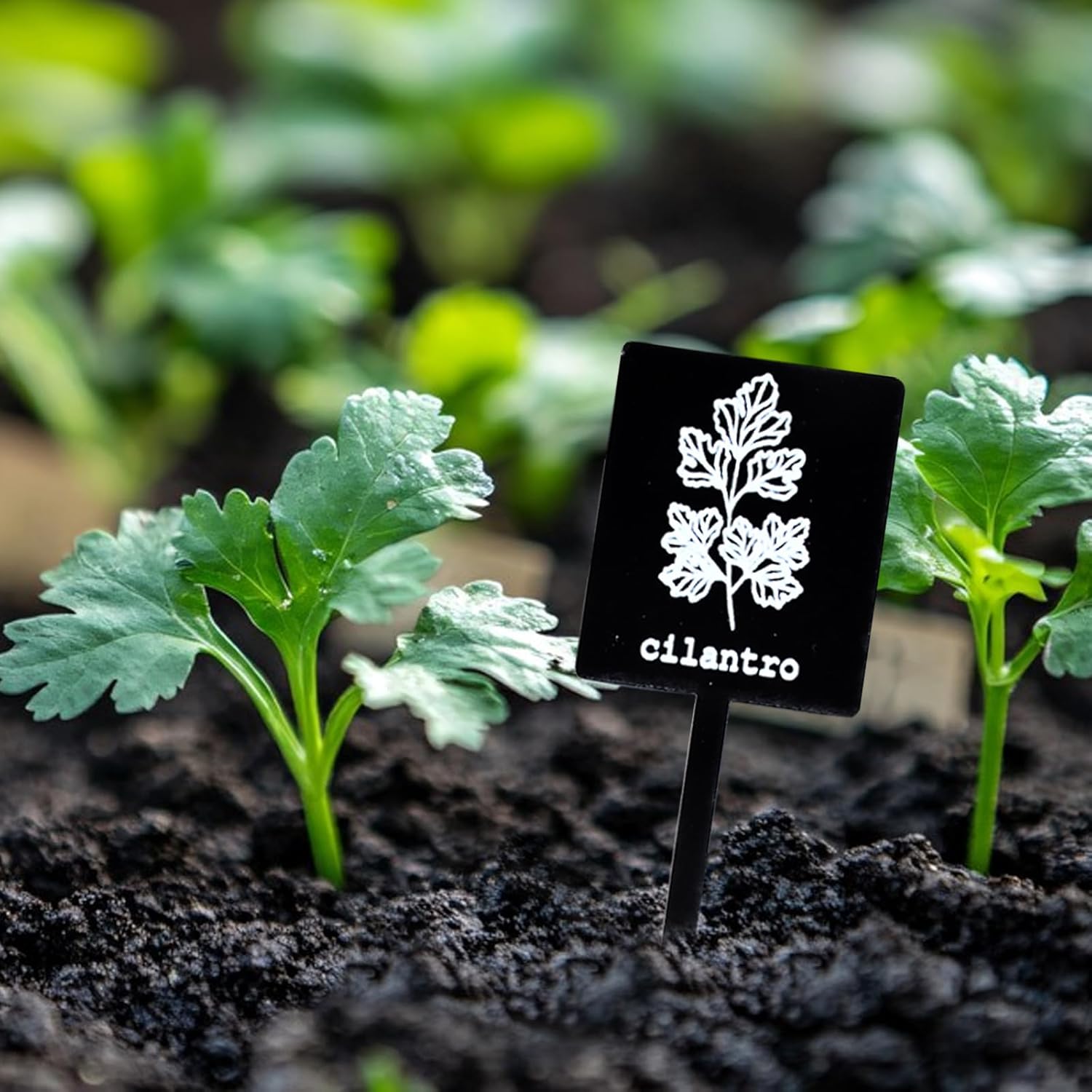 24Pcs Garden Herb Markers Acrylic Plant Label Signs Plant Stake Tags Reusable Black Waterproof Tags with Herb Names for Nursery Seedlings Potted Greenhouse Indoor Outdoor Garden Decoration - Image 6