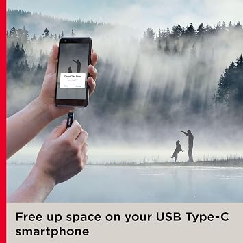SanDisk 128GB Ultra Dual Drive Go USB Type-C Flash Drive, Flash Drive SDDDC3-128G-G46