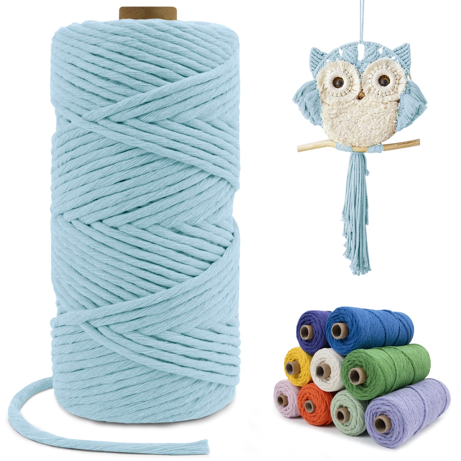 LEREATI Macrame Cord 4mm x 100m, Single Strand Thick Macrame Rope Yarn Natural Cotton Cord, Craft Macrame String for Plant Hanger, Wall Hanging, Knitting, DIY, Home Decorations (Light Blue) โ image 1