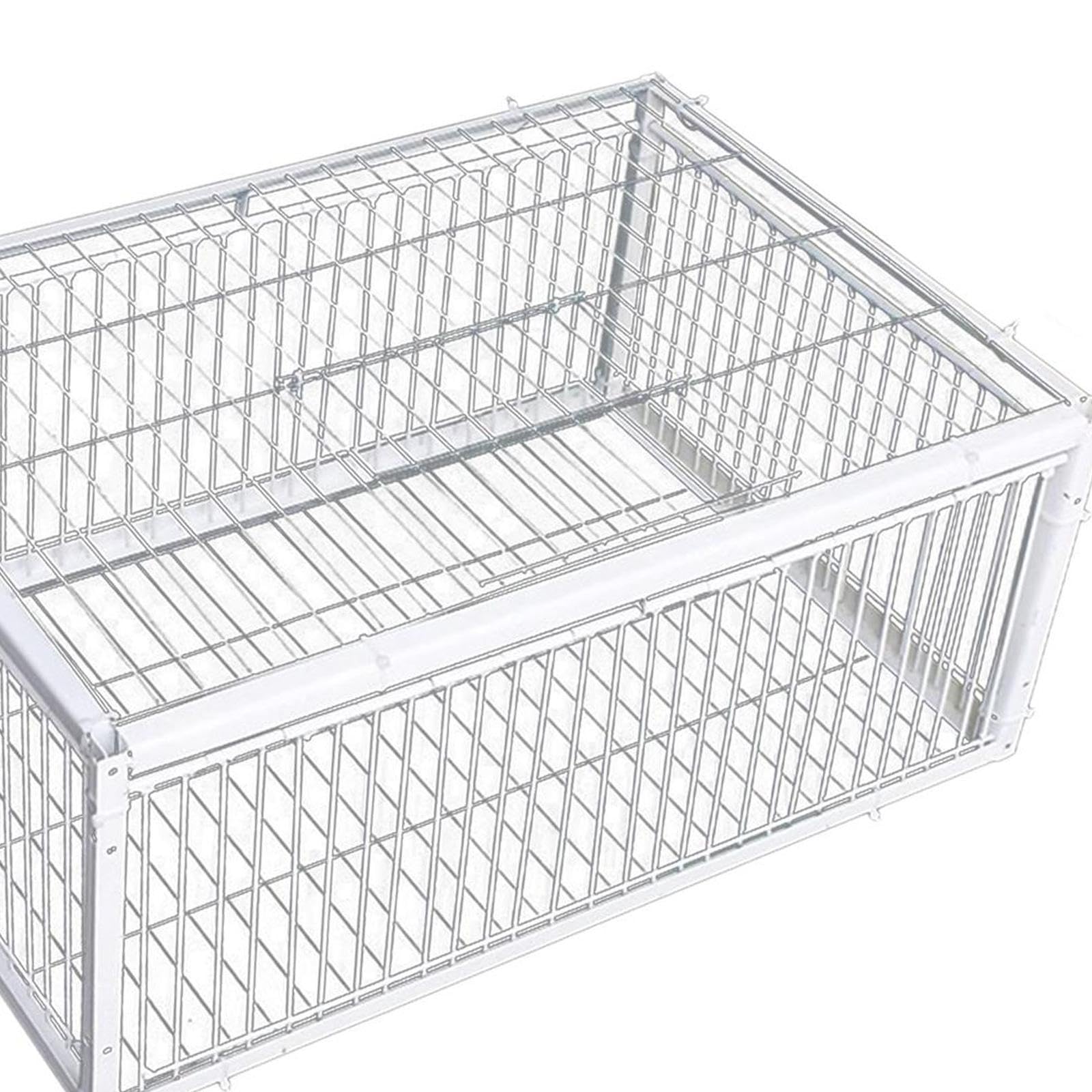 Jaula para Pájaros/Palomas, Caseta Grande, Entrada Sencilla, Estructura de Hierro Reforzado, Función de Controlado, Adecuada para Granjas, 4 Entrada