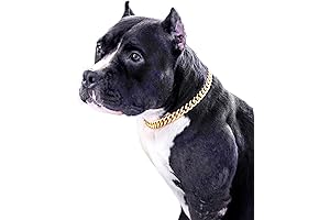 Exclusive Gold Chain Dog Collar-15mm Cute Dog Collar Pet Gold Necklace