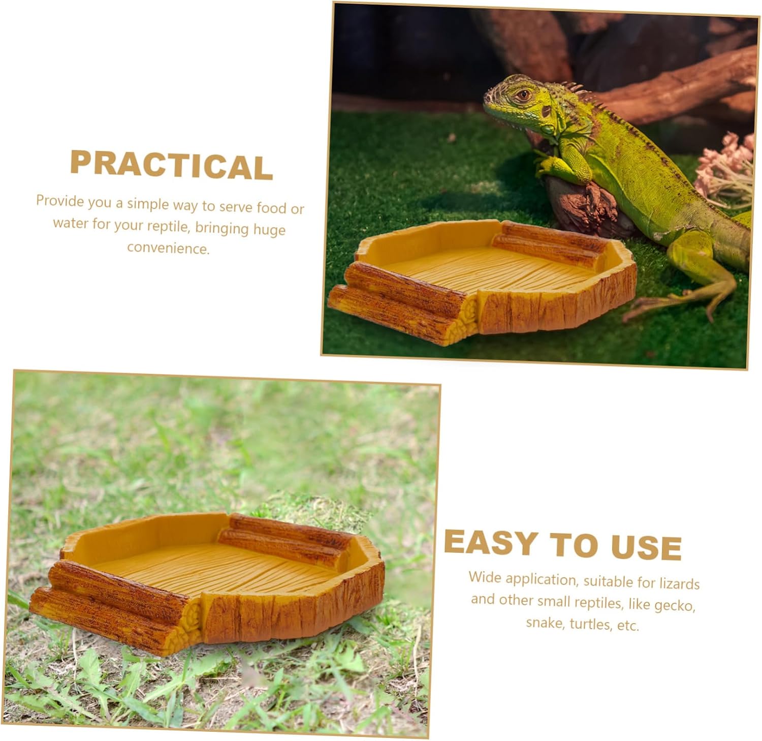 VICASKY Crawling Pet Food Storage Basin Decorative Pet Bowl for Reptiles and Animals