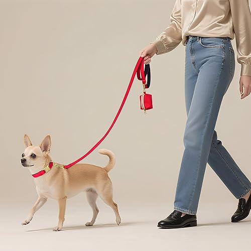 Miniatura 3 de Didog Correa para perro de nailon colorido de 5 pies con acolchado suave de longitud completa, ligera y duradera para perros pequeños, rojo, S