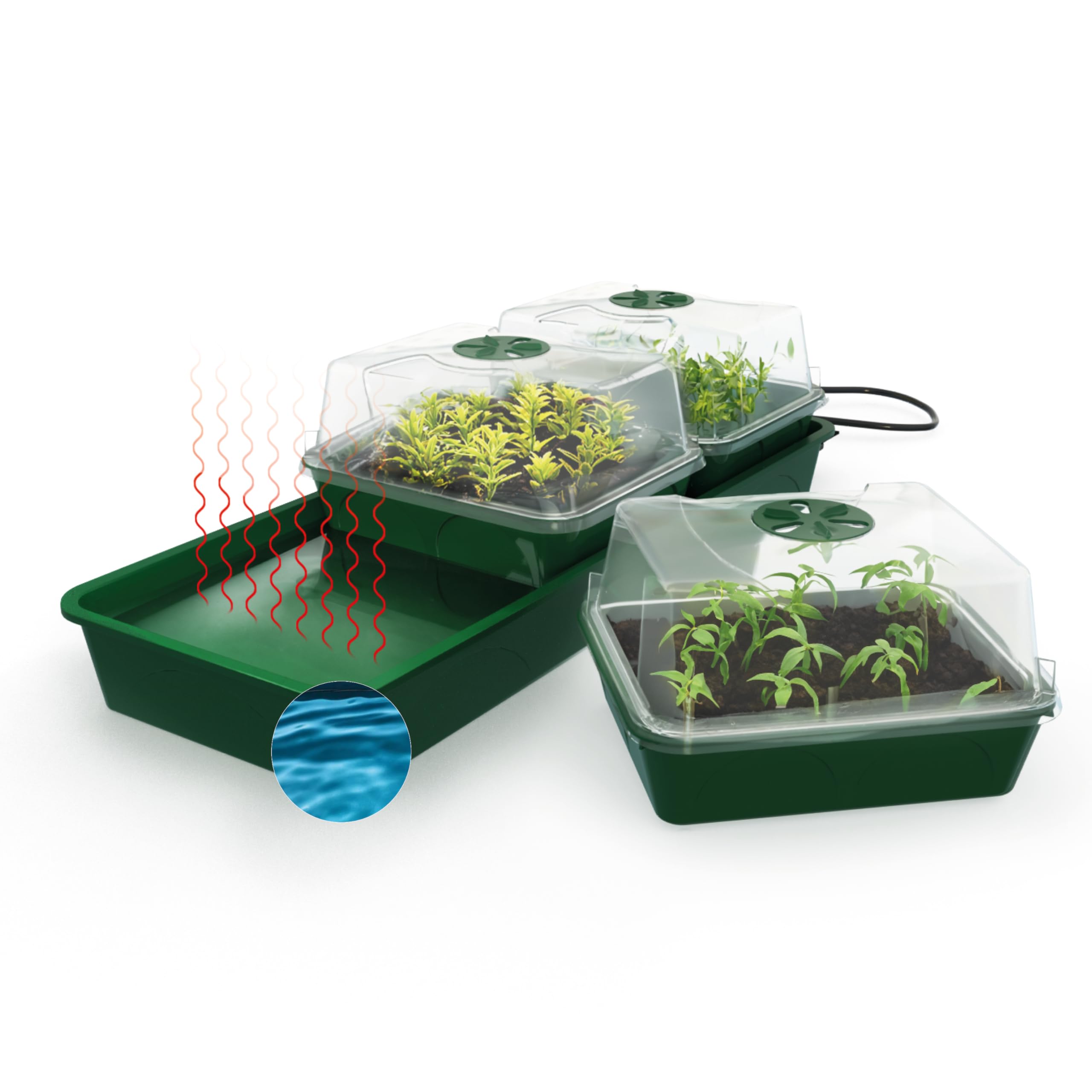 Bio Green HOL 3 Hollandia Serre D'intérieur Chauffée avec Réservoir d'eau
