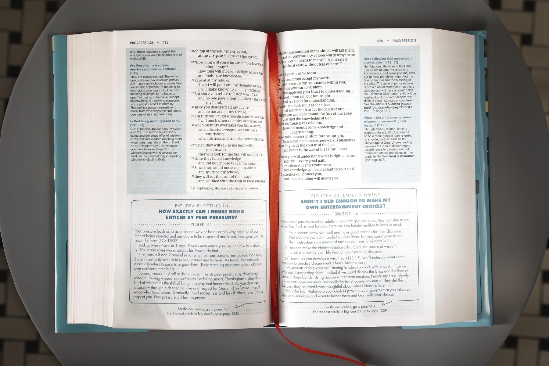 Holy Bible: New International Version, Quest Study Bible for Teens, The Question and Answer Bible, Comfort Print, Charts and Maps, Satin Ribbon Marker