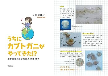 うちにカブトガニがやってきた！？－生きている化石とすごした1