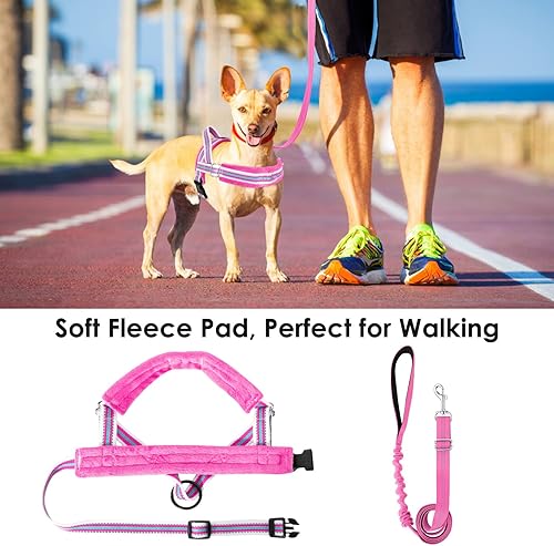 Miniatura 5 de Lukovee Juego de arnés y correa para perro, arnés acolchado suave para perros pequeños, chaleco reflectante ajustable para cuello y pecho, arnés