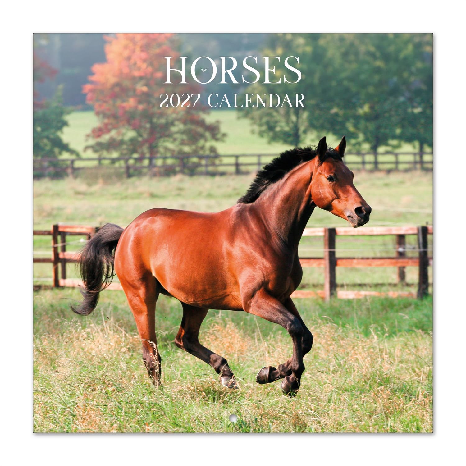 Grupo Erik Horses Wall Calendar 2027 UK - Horse Lover Gifts for Women & Men