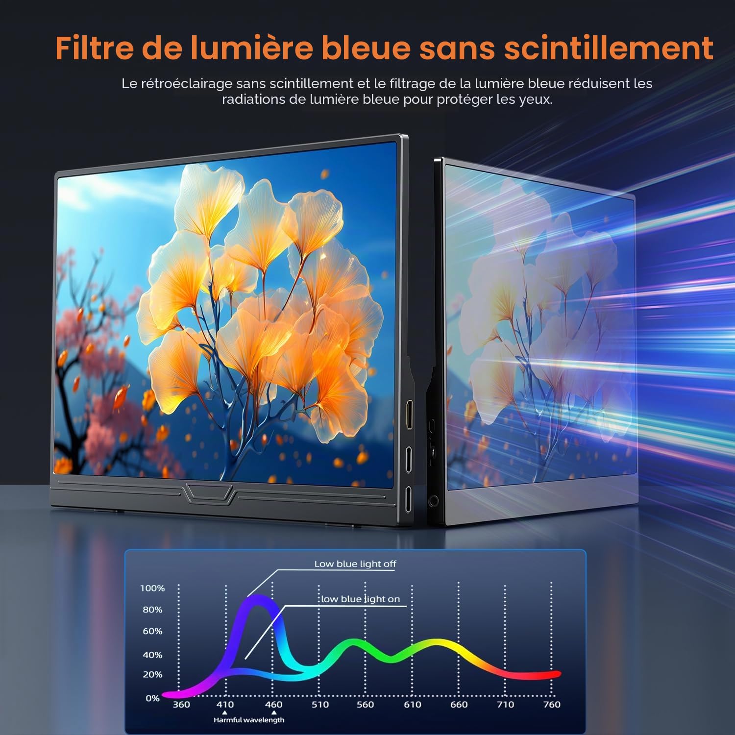 Ecran Portable 15.6 Pouces, Moniteur Portable 1080P FHD IPS, Écran Portatif avec Mini HDMI USB C, pour Laptop, PC, PS5, Xbox